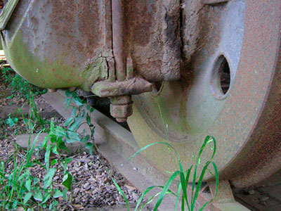 FDotografia Freelance